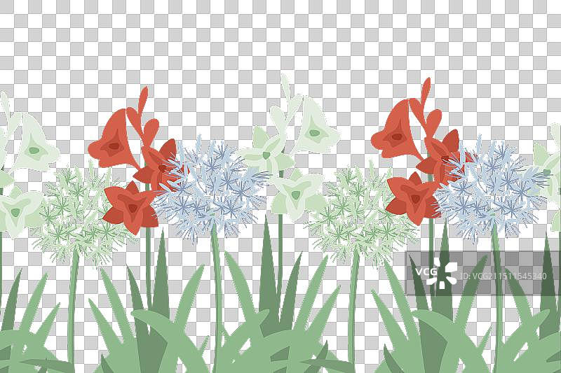 南非花卉背景图片素材