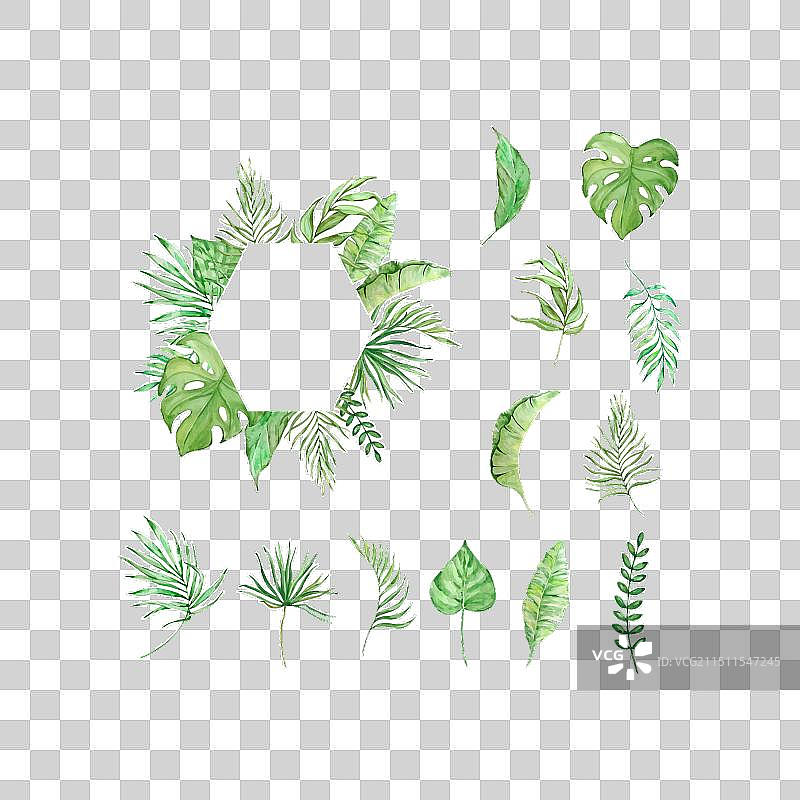 热带绿色树叶水彩边框图片素材