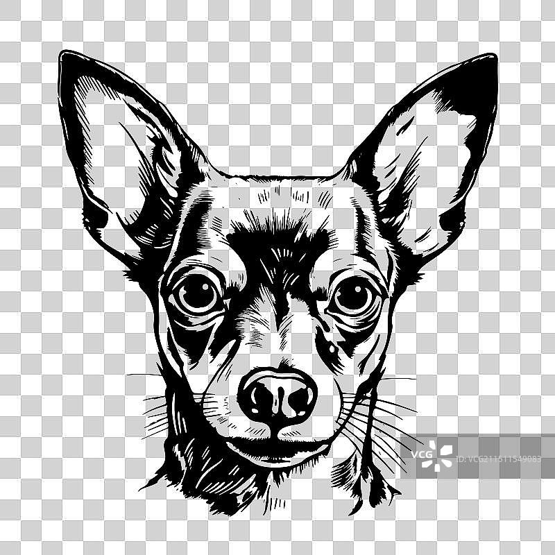 可爱的玩具梗犬图片素材