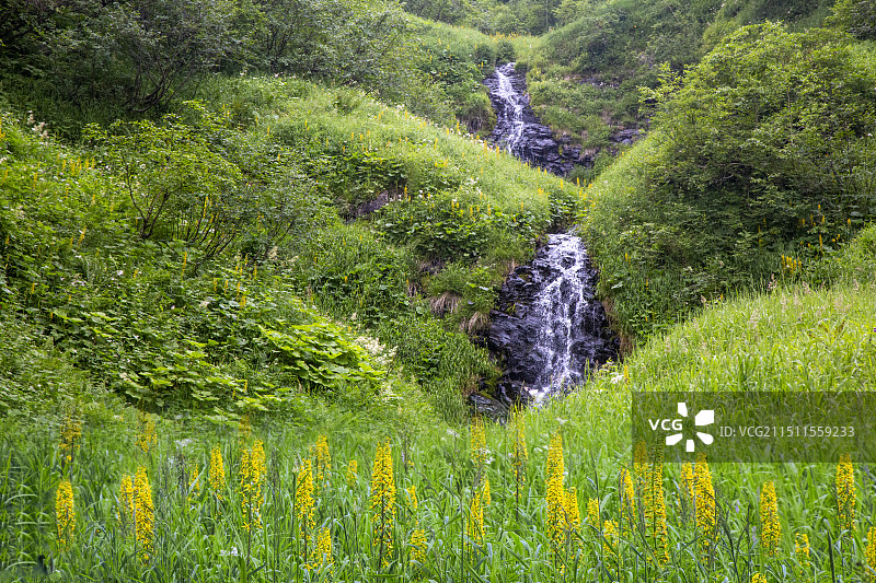 吉林省长白县“长白山南坡景区”风光图片素材
