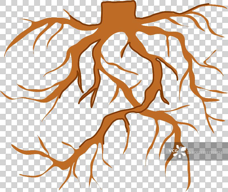 卡通树干树根图片素材