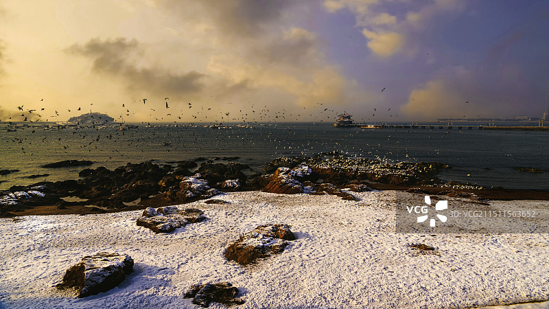 《棧桥——小青岛》图片素材