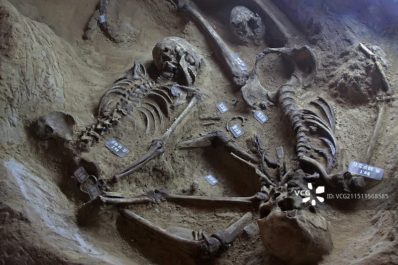 河北滦南潘戴庄惨案殉难者遗骸图片素材