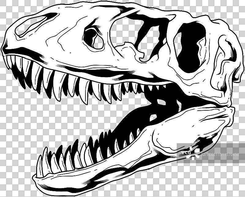 霸王龙恐龙骨骼轮廓图片素材