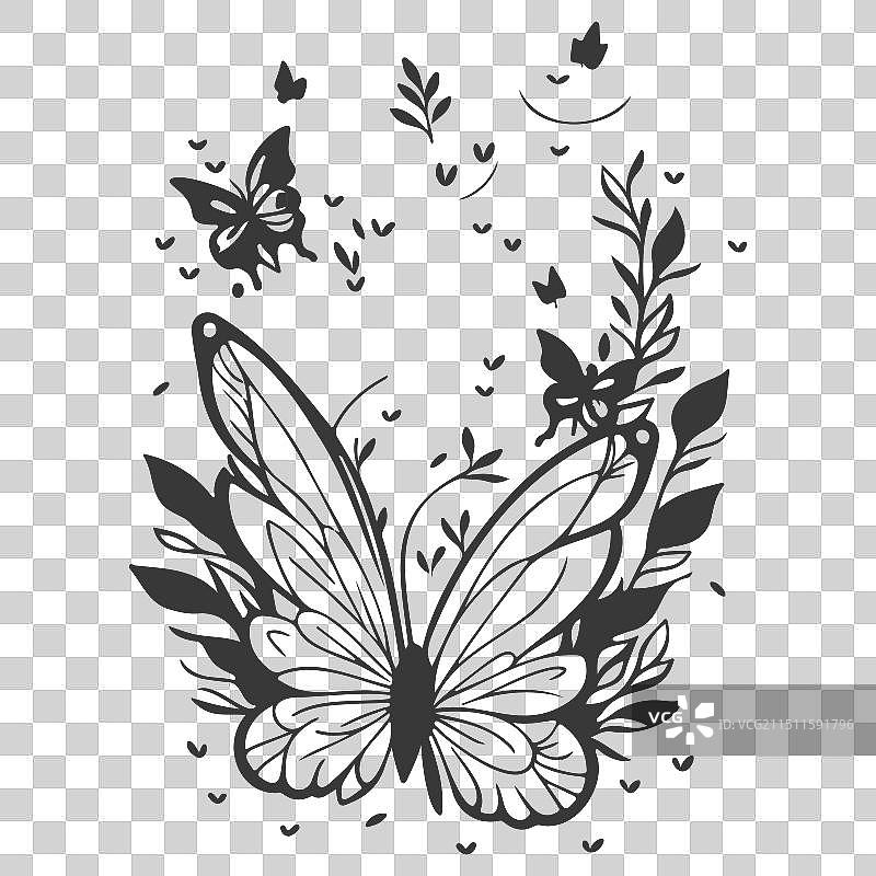 抽象蝴蝶春季秋季灰色花朵图片素材