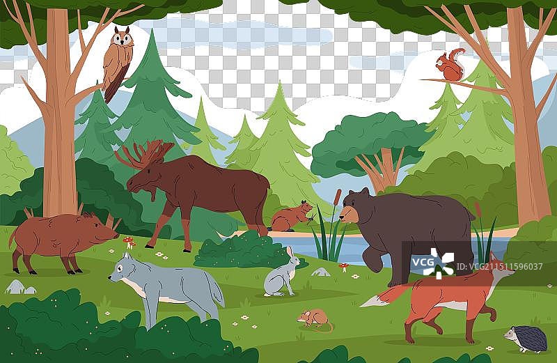 草地森林栖息地的野生动物图片素材