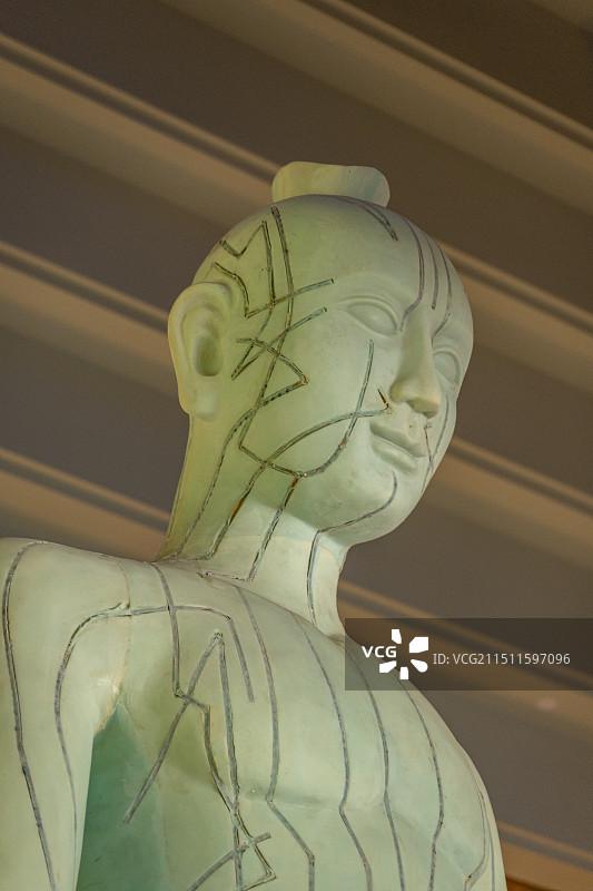 浙江省中医药博物馆展厅全身经络人物雕像图片素材
