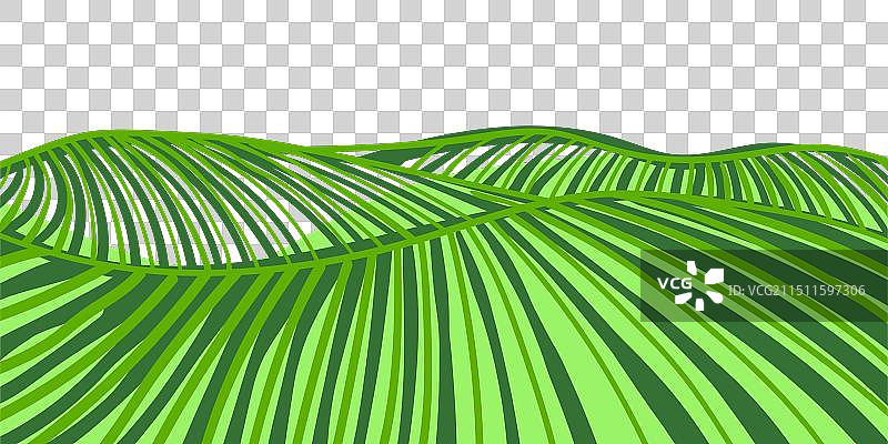 小山丘上的农田景观图片素材