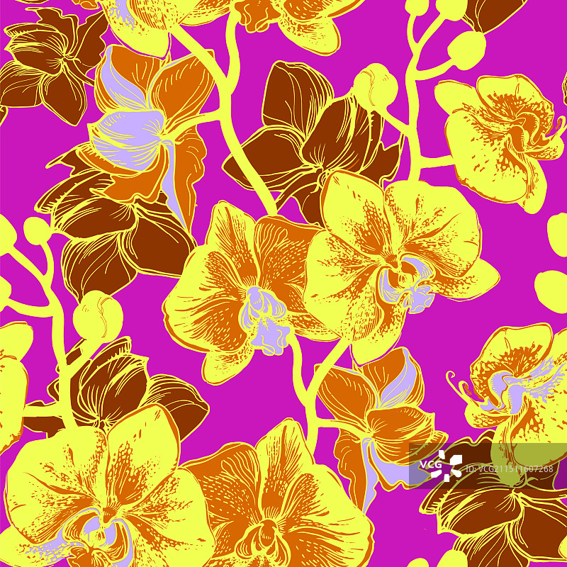 具有兰花图案的疯狂色彩无缝图案图片素材