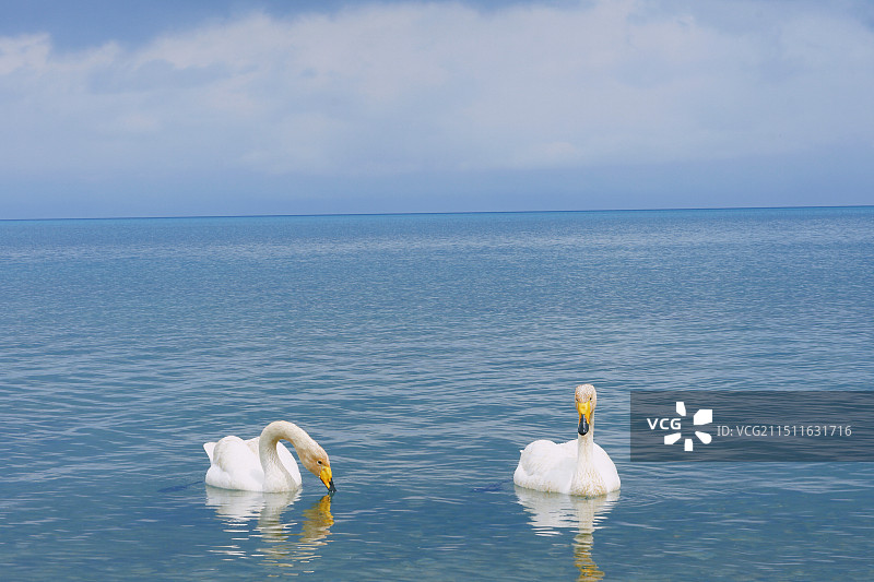 赛里木图片素材