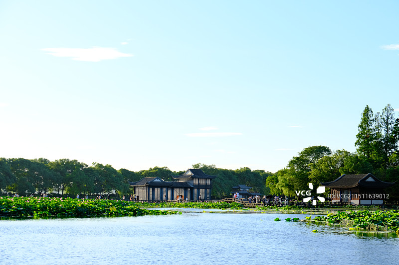西湖的曲院风荷景观图片素材
