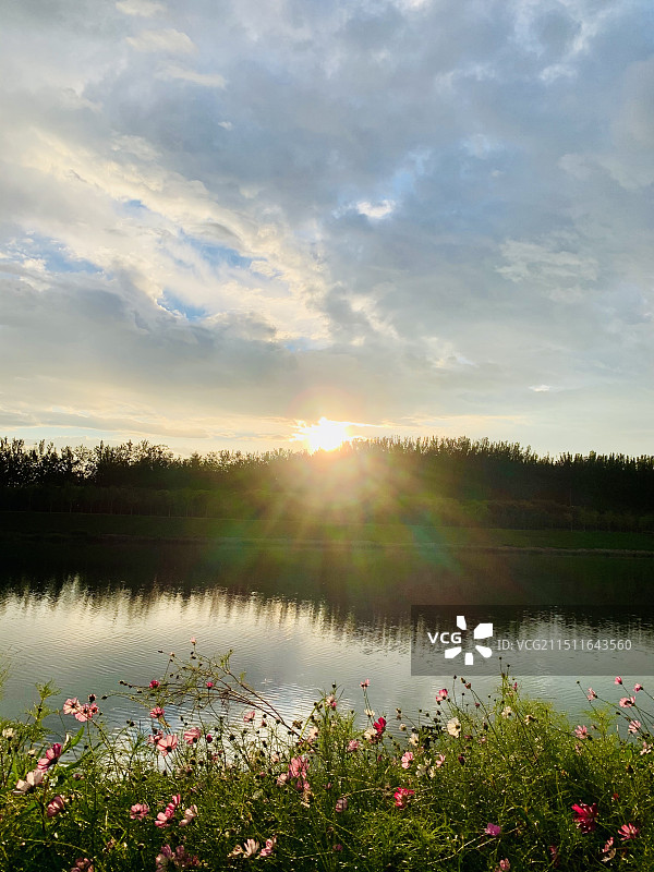 夏日雨后的通州温榆河滨河森林公园组图图片素材
