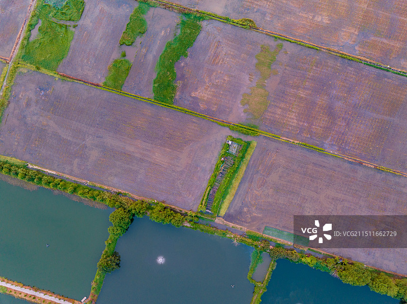 汕头牛田洋夕阳20240809图片素材