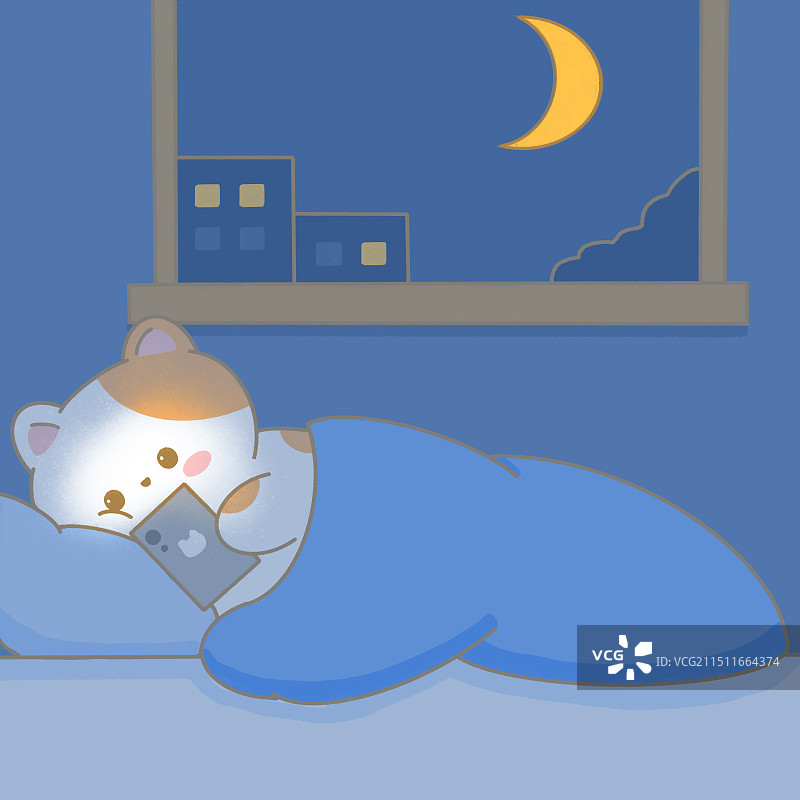 夜晚玩手机的小猫图片素材