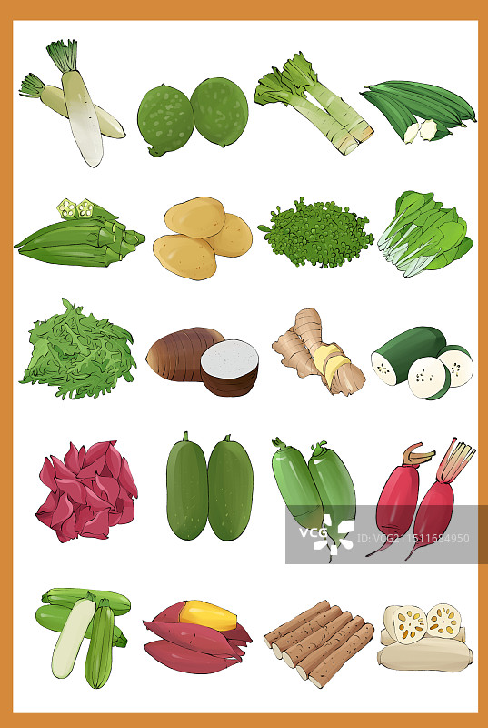 应季蔬菜时令表-秋季蔬菜合集手绘插画图片素材