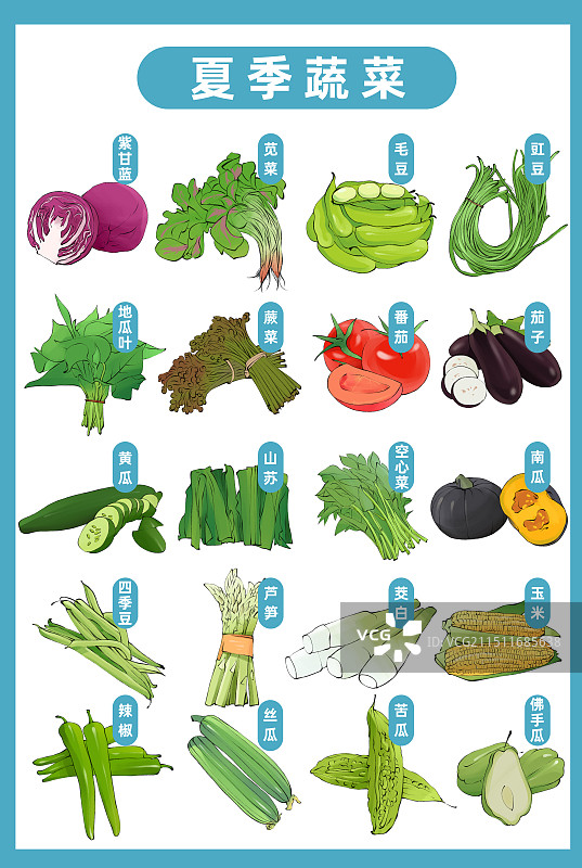 应季蔬菜时令表-夏季蔬菜合集手绘插画海报模板图片素材
