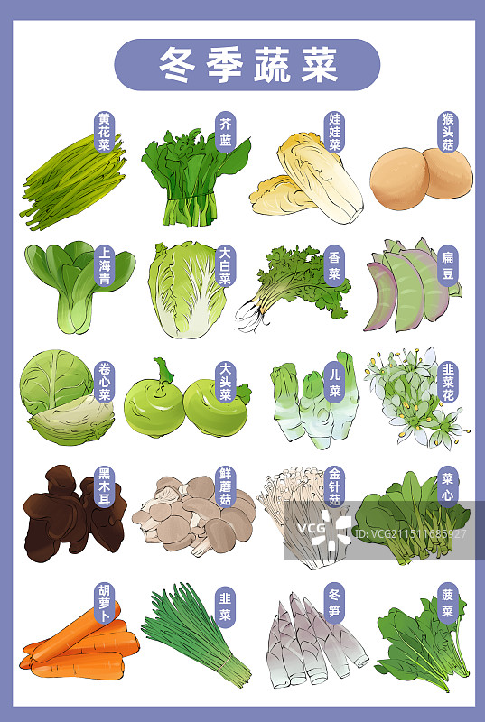 应季蔬菜时令表-冬季蔬菜合集手绘插画海报模板图片素材