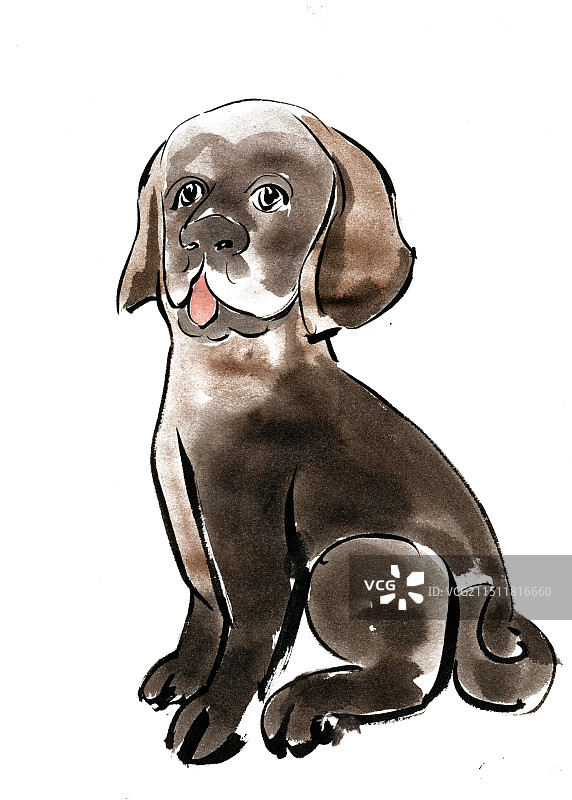 可爱的小狗图片素材