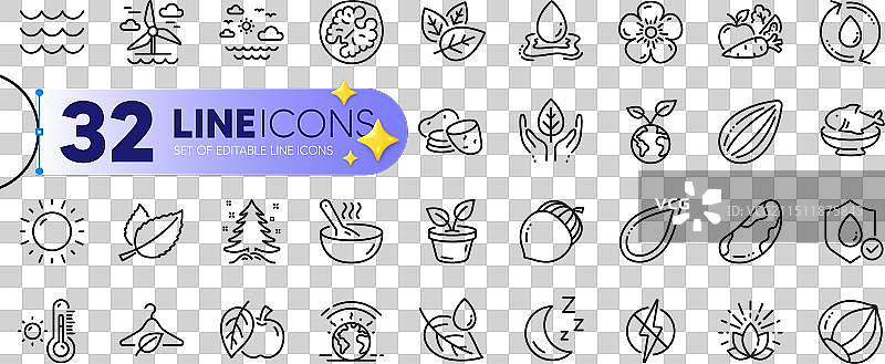 巴西坚果苹果杏仁轮廓合集图片素材