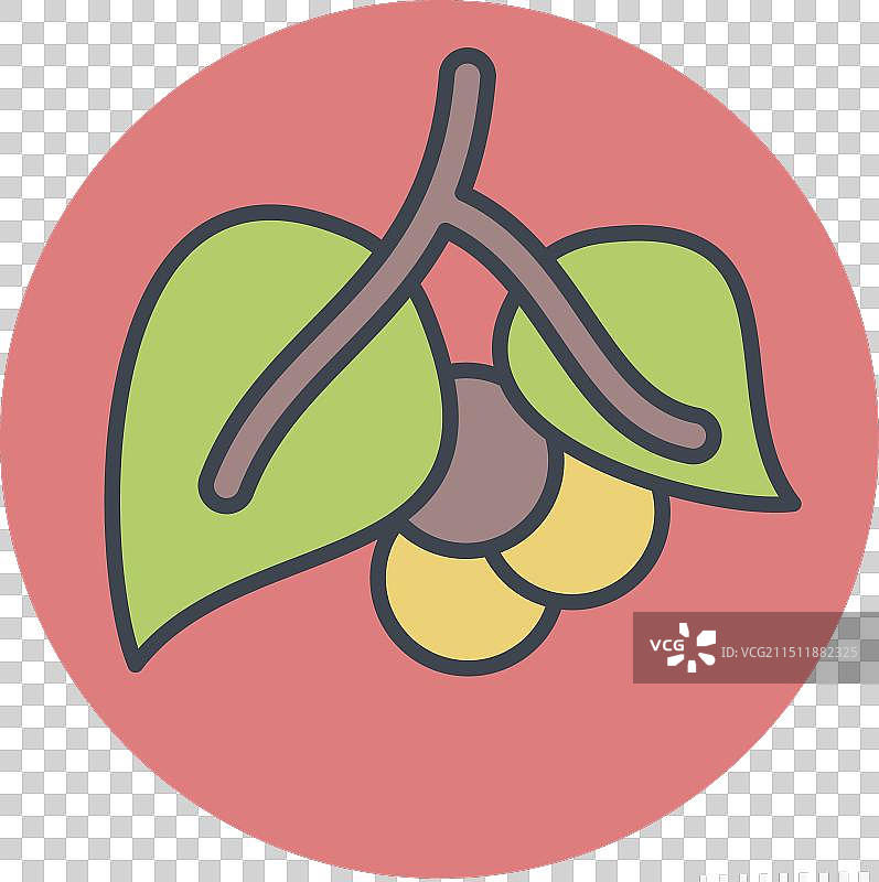 与草药和香料相关的黑胡椒图标图片素材