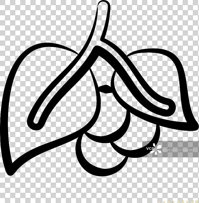 与草药和香料相关的黑胡椒图标图片素材