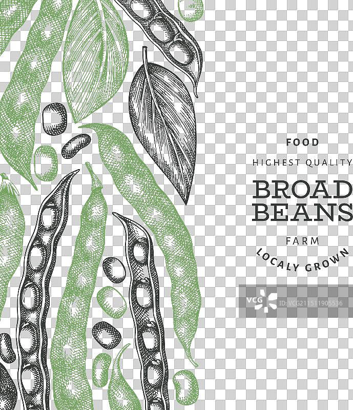 手绘蚕豆设计模板图片素材