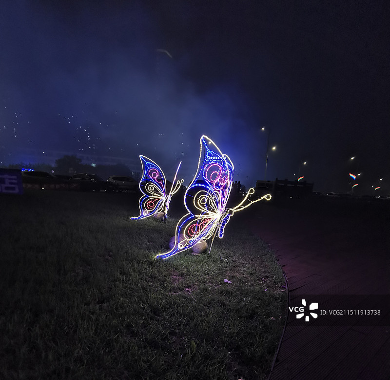 两只炫彩蝶图片素材