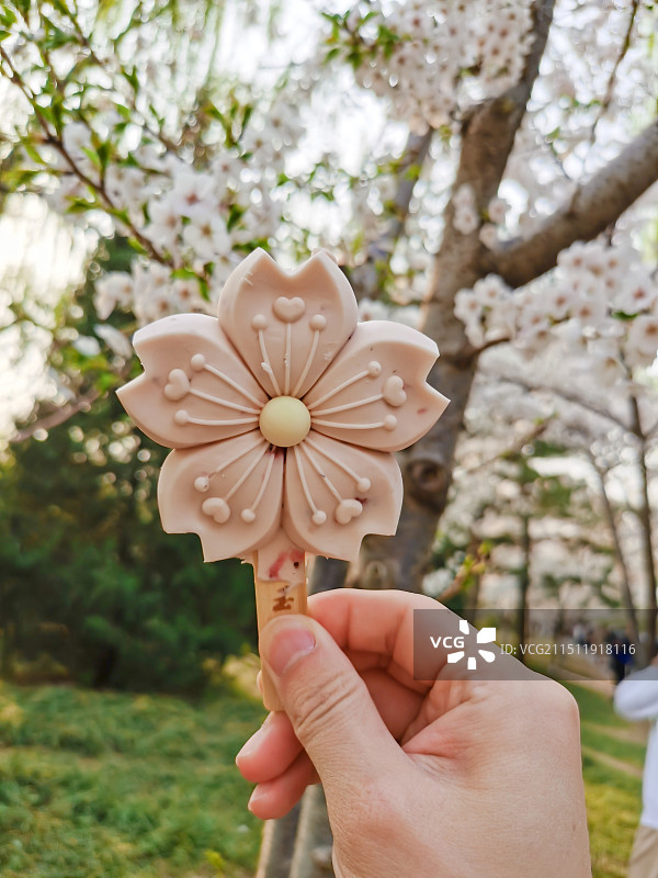 玉渊潭文创雪糕樱花状冰淇淋图片素材