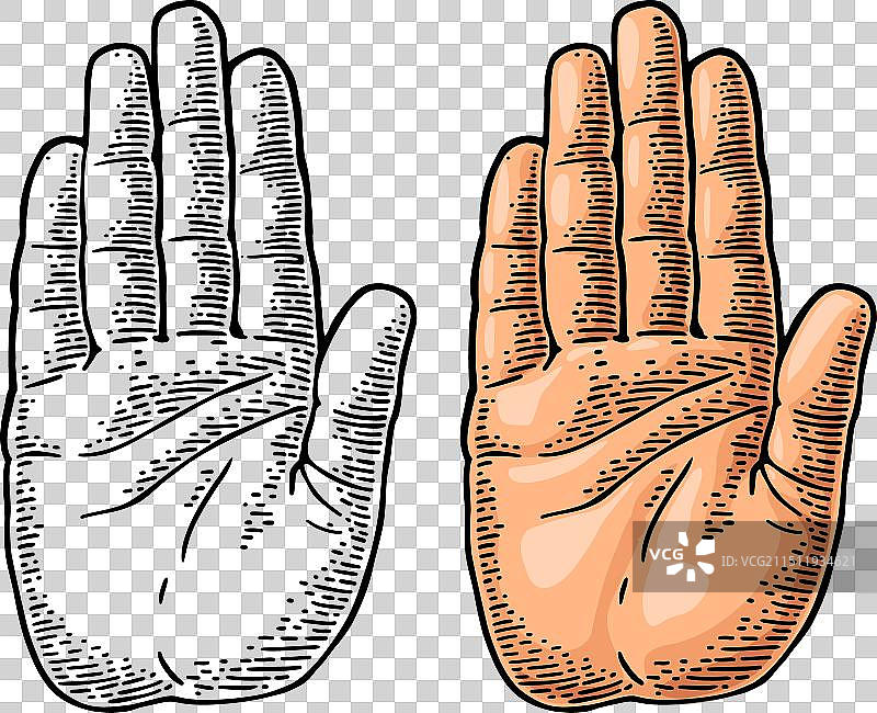 手部展示停止手势彩色图标图片素材