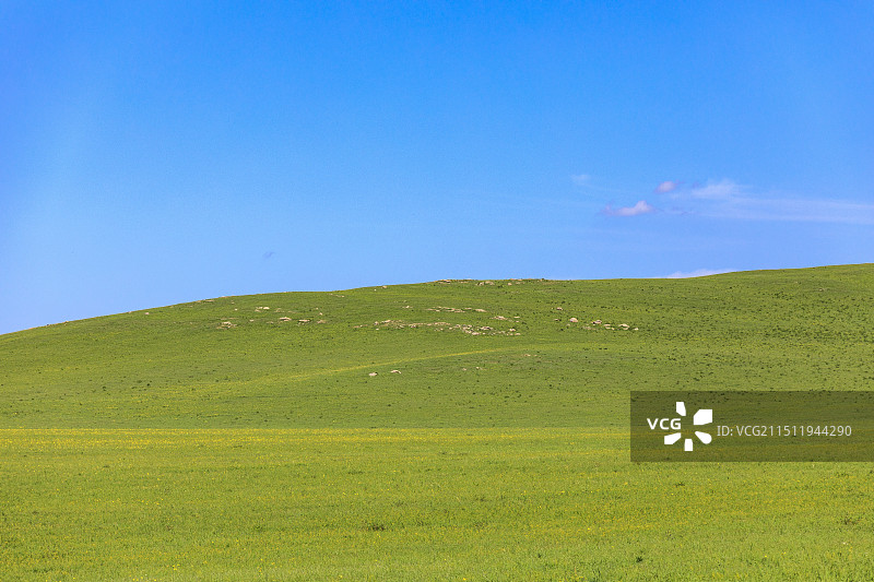 内蒙古自治区锡林郭勒盟东乌珠穆沁旗G33国道旁边的草原风光图片素材