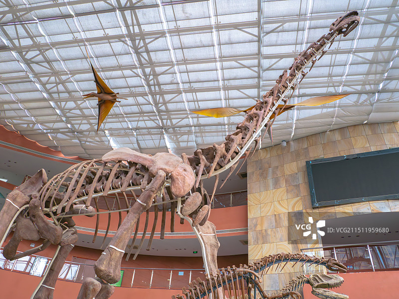 河源市恐龙文博园景区图片素材