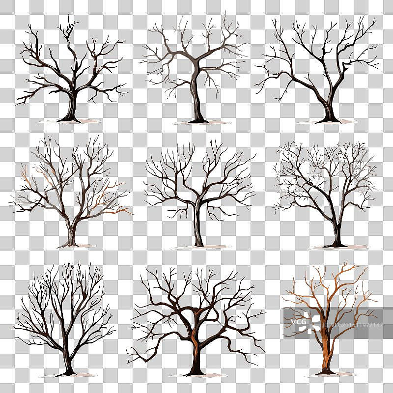 冬季树木合集图片素材