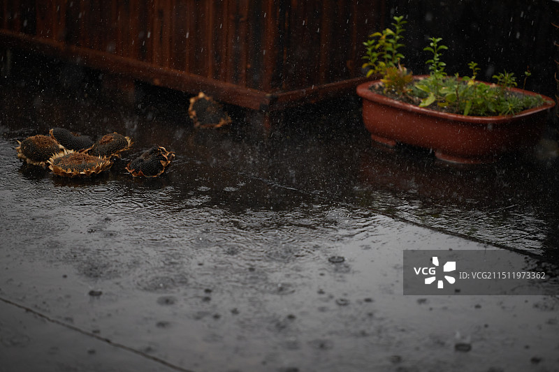 暴雨天雨滴和潮湿的路面图片素材