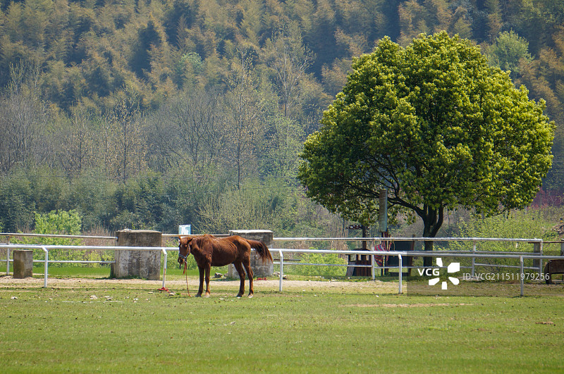 安庆潜山县白马潭景区图片素材