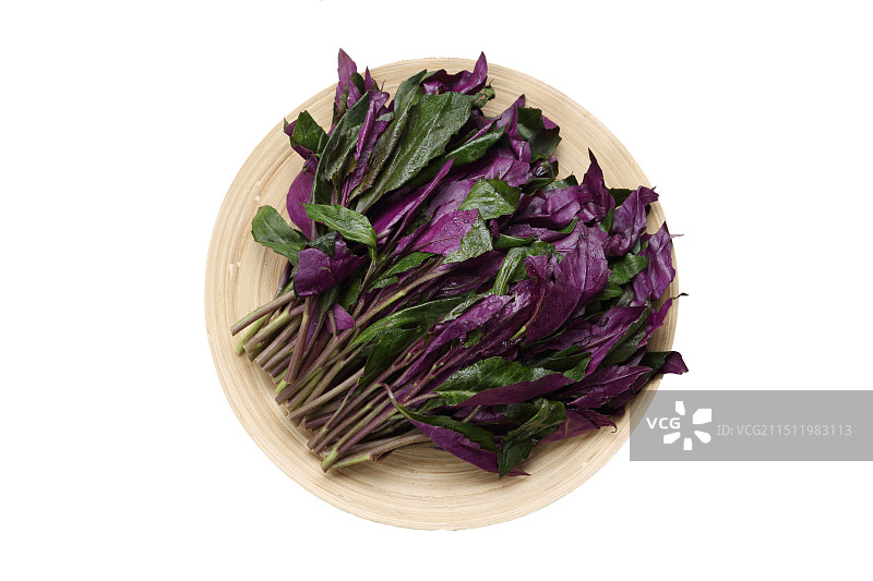 红凤菜图片素材