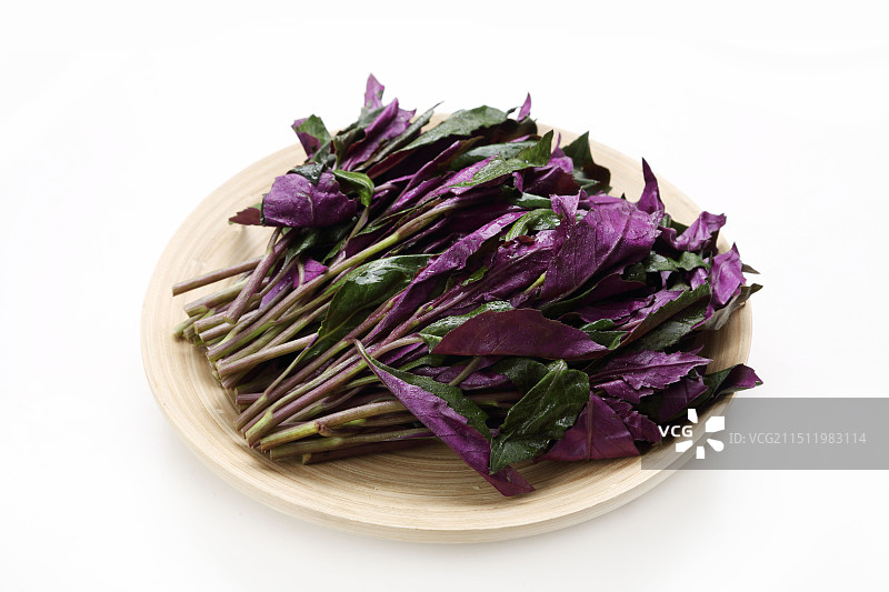 红凤菜图片素材