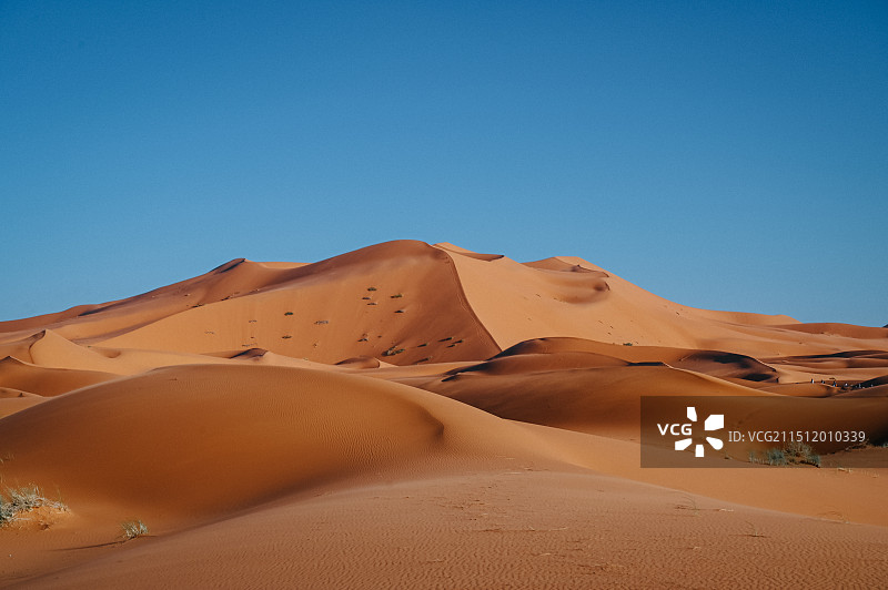 摩洛哥西撒拉哈沙漠图片素材