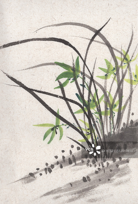 绿色兰花国画水墨插画图片素材