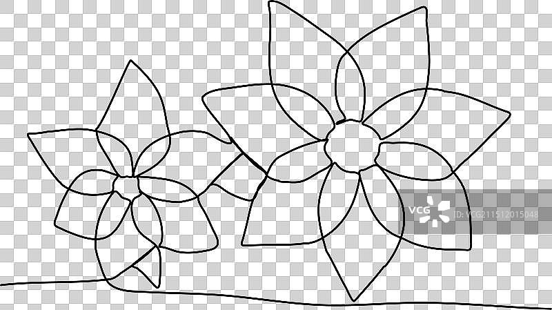 花朵线条画图片素材