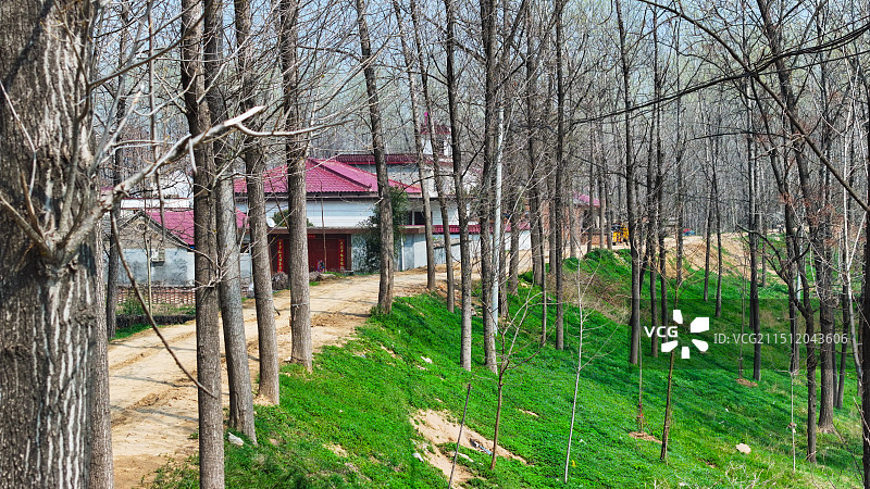 河南沈丘老城镇农村乡村航拍风光大片图片素材