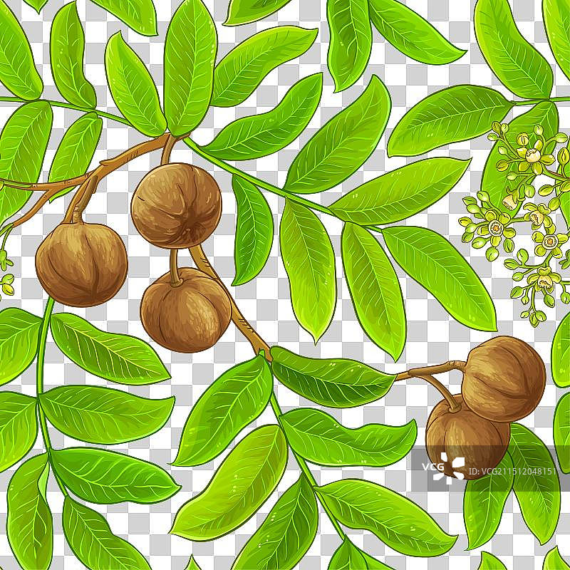 红木图案图片素材