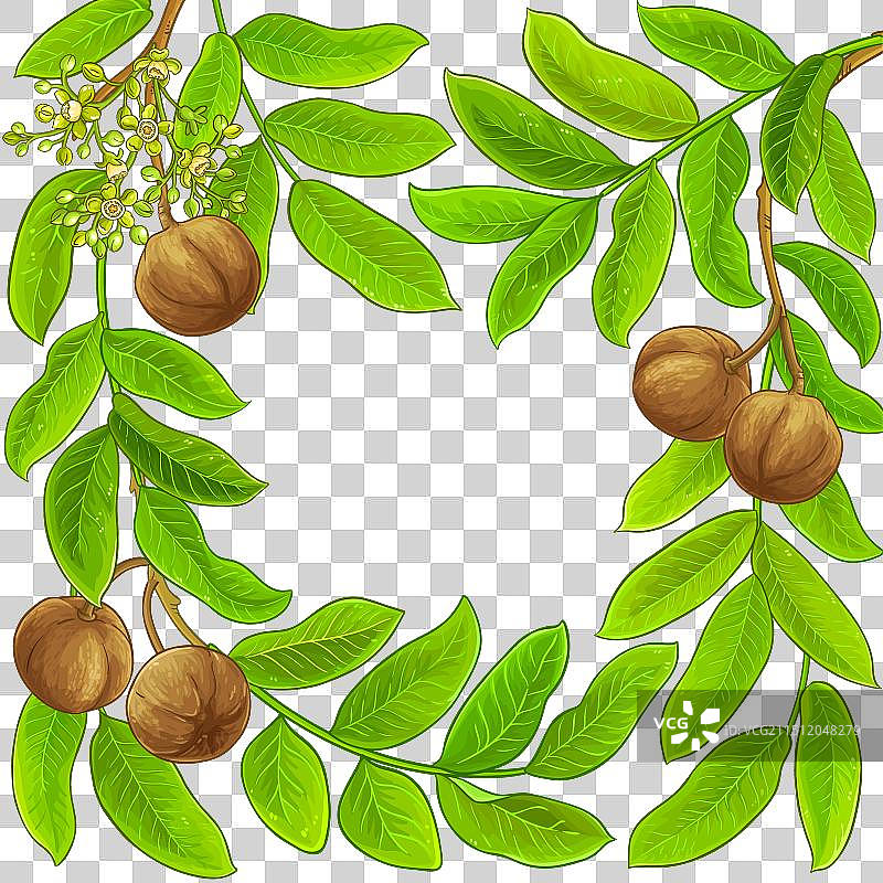 安迪罗巴木相框图片素材