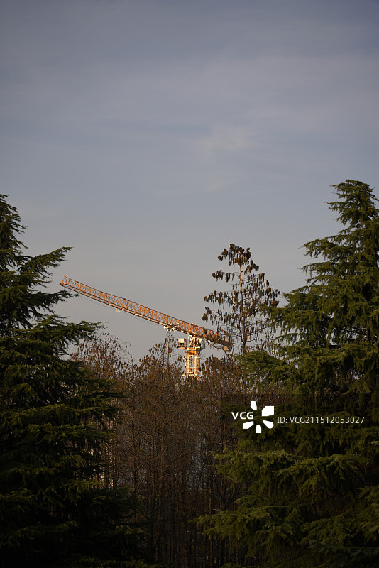 树木和建筑物的低角度俯视大吊车图片素材