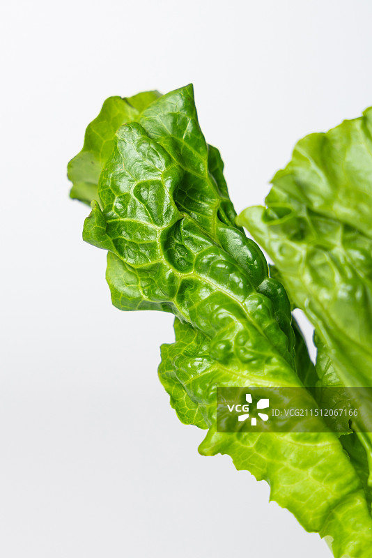 每日一蔬，家常生菜，不凡视角图片素材