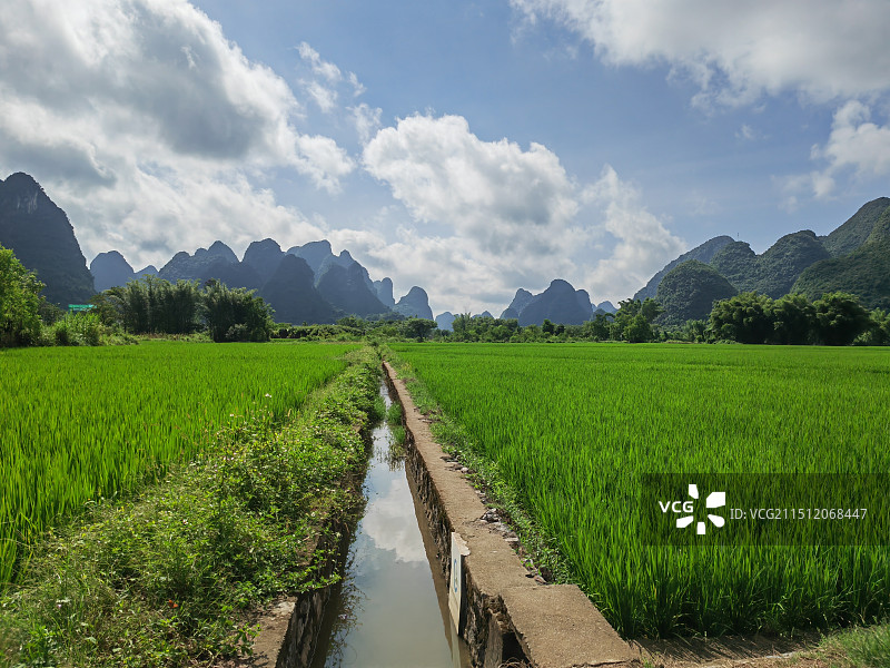 桂林山水稻田图片素材