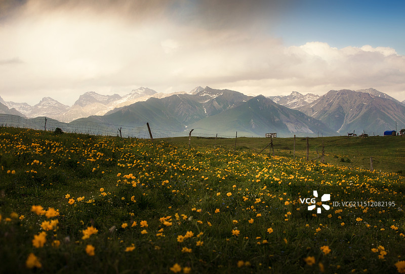 伊犁·唐布拉仙女湖图片素材