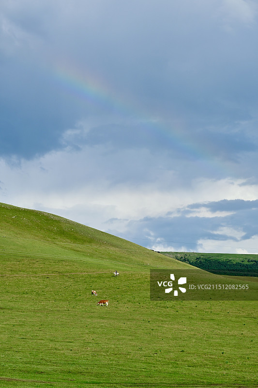 草原彩虹图片素材