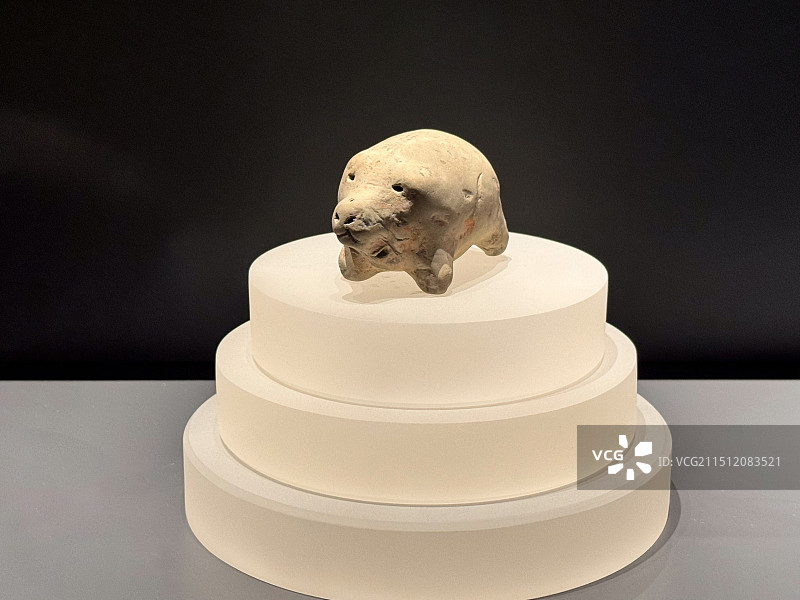 上海博物馆陶猪图片素材