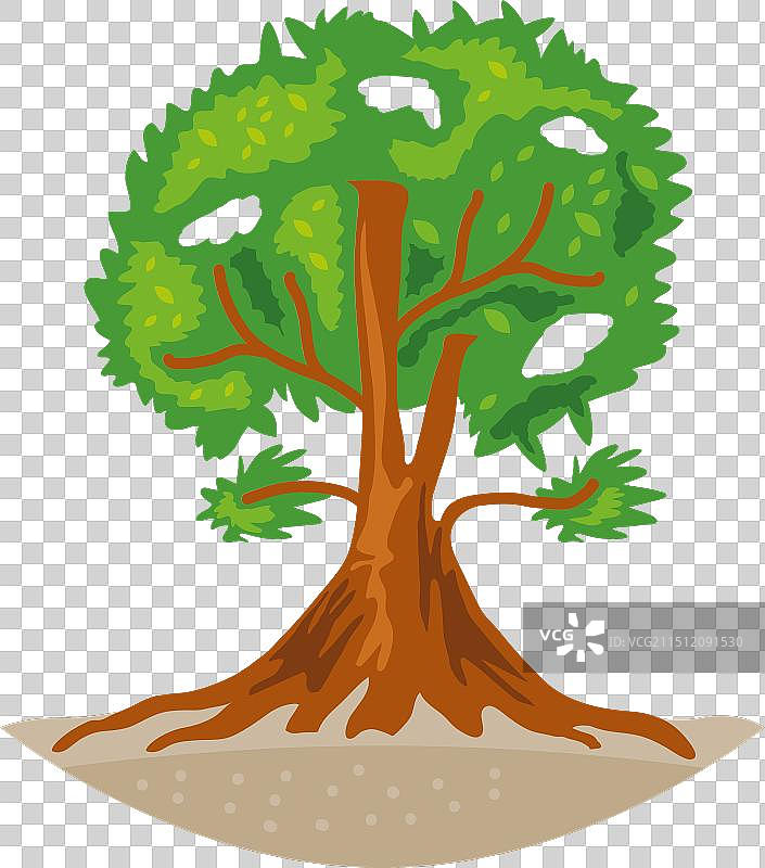 巨型红树林图片素材