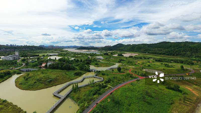 广西梧州：苍海国家湿地公园绿意盎然图片素材